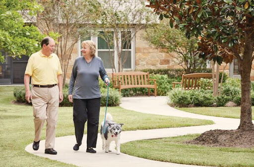 A couple enjoying a leisurely walk with their dog in a serene park setting.