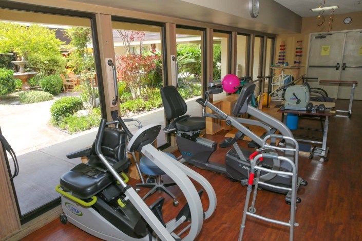 A rehabilitation gym with various exercise machines and a garden view through large windows.