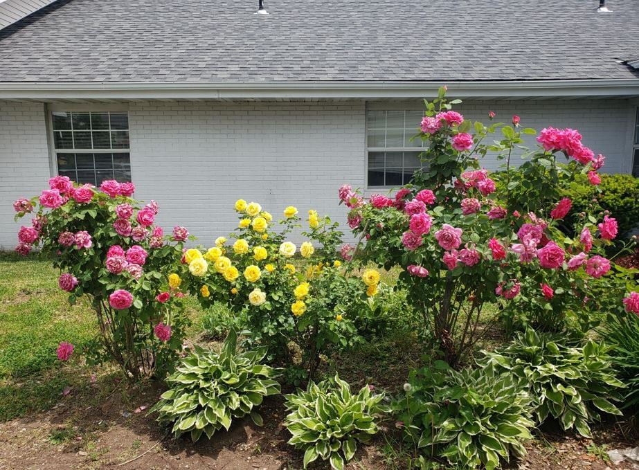 Candlelight Lodge Assisted Living