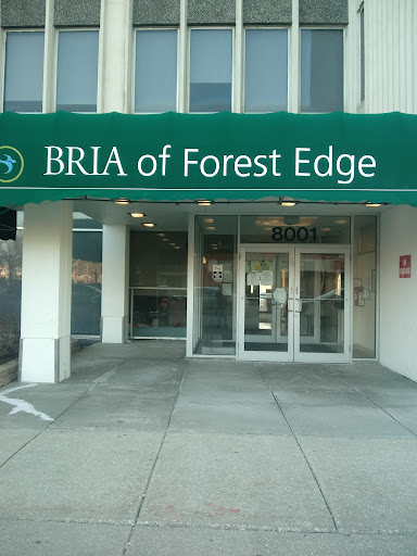 Bria of Forest Edge
