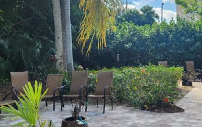 A serene patio area with chairs surrounded by lush greenery.