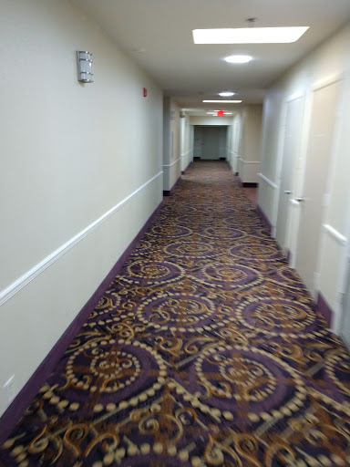 A view of a hotel hallway featuring patterned carpet and doors on either side.