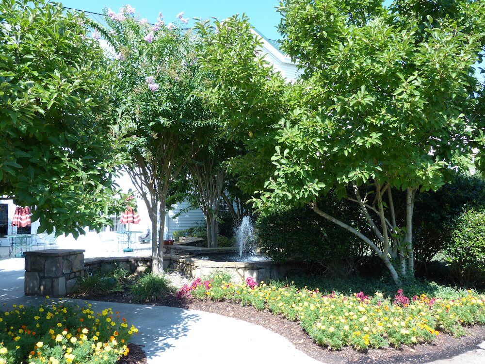 A serene garden with a curved pathway lined by trees and colorful flowers.