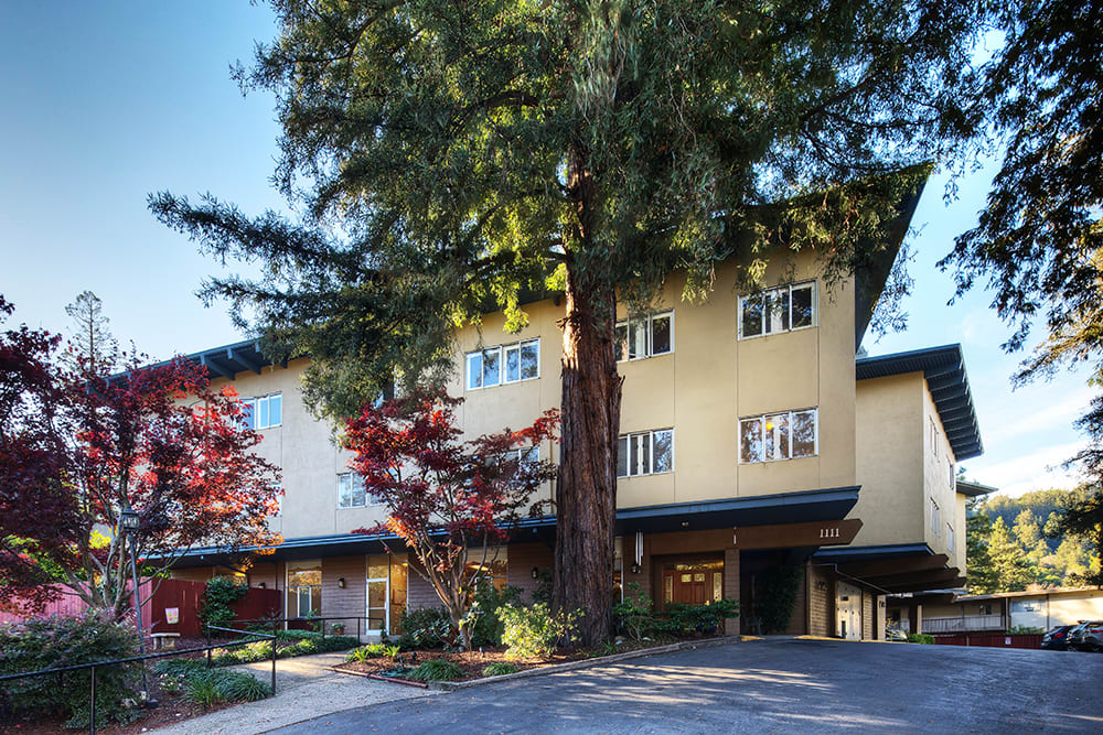 A multi-story building surrounded by tall trees and landscaped greenery.