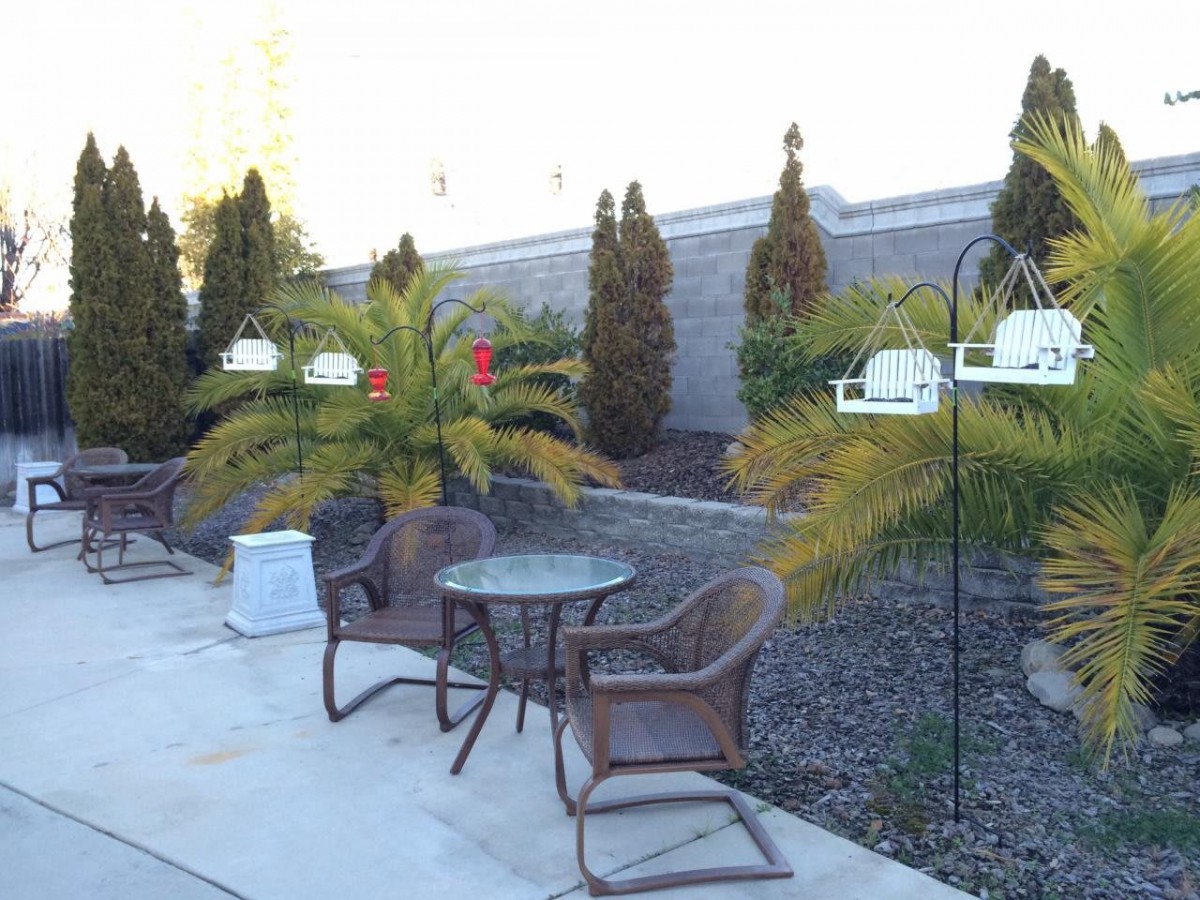 An outdoor patio area with wicker chairs and a glass-top table, surrounded by potted plants.