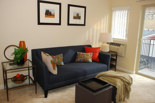A cozy living room featuring a modern navy sofa with decorative pillows, framed artwork on the walls, and a warm ambiance.