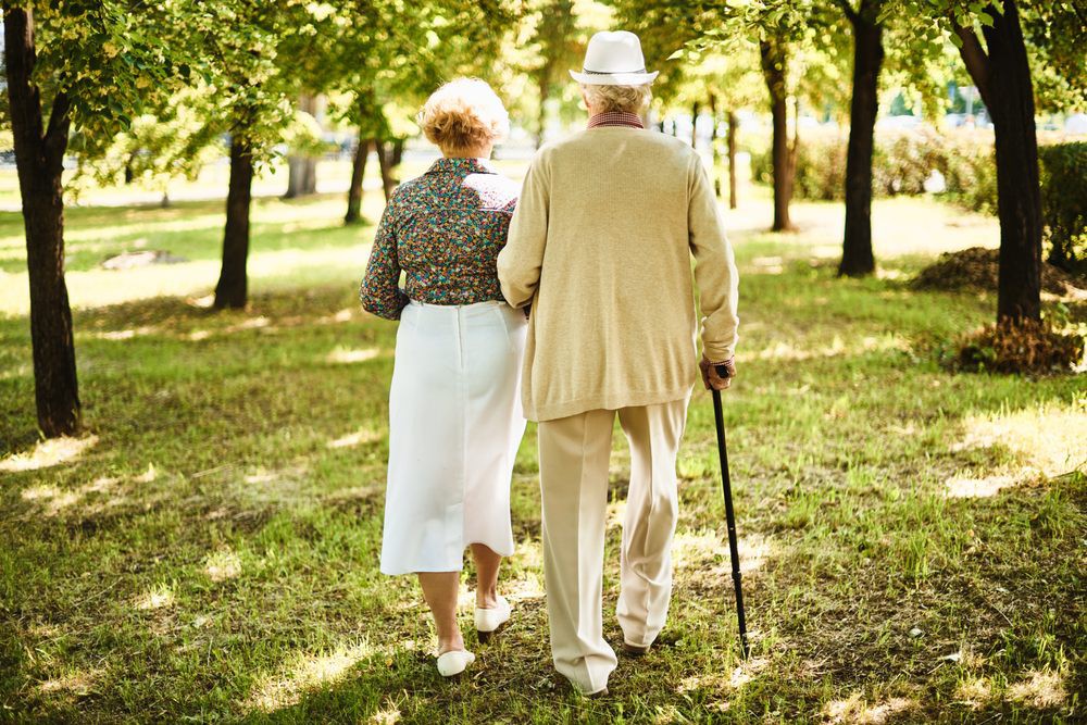 An elderly couple walking together in a park, surrounded by trees.