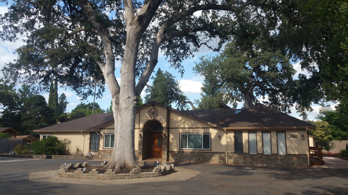 A charming house surrounded by large trees in a suburban setting.