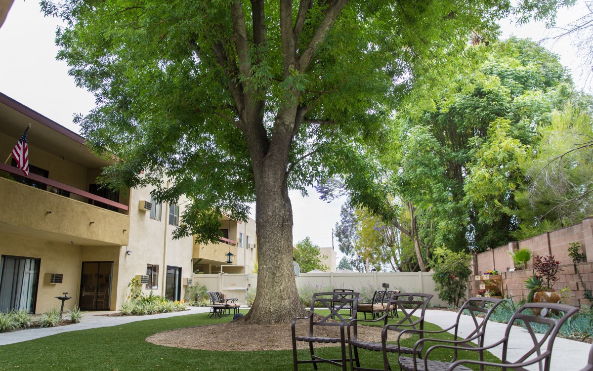 A large tree provides shade to a seating area in a landscaped outdoor setting next to a building.