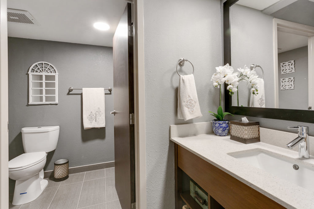 A modern bathroom with a sleek sink, large mirror, and elegant decor.