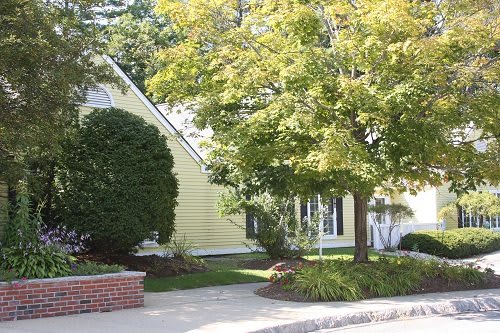 Carlyle Place