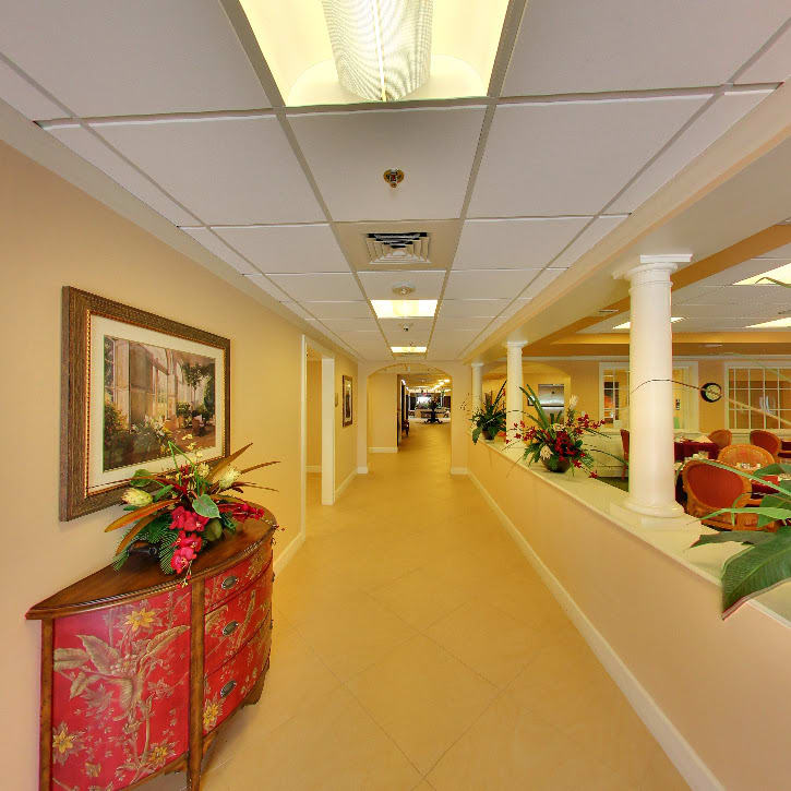 A well-lit interior hallway with decor and plants.
