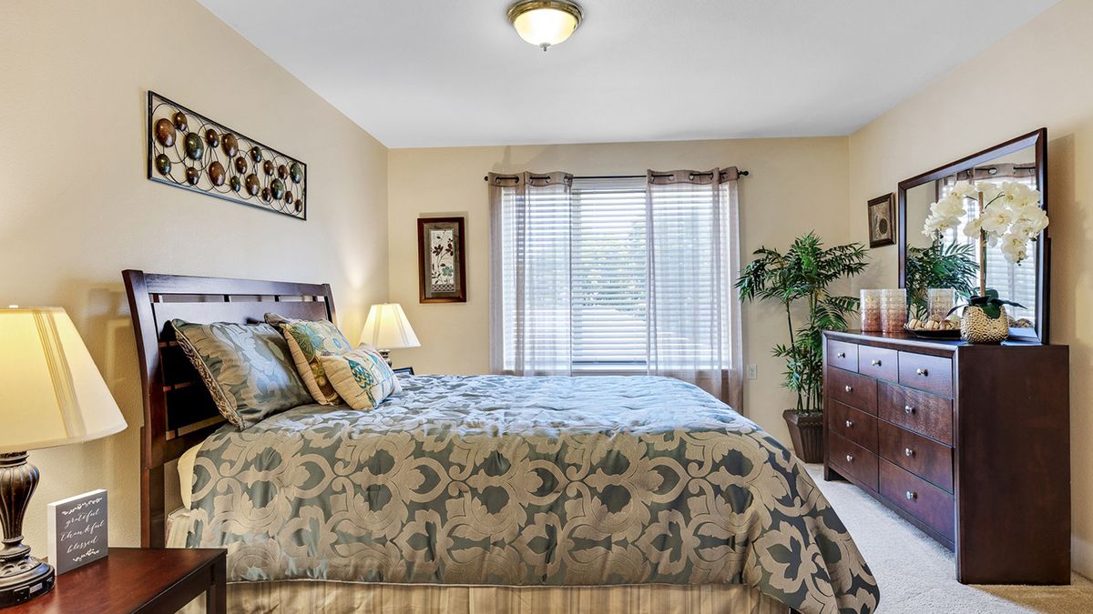 A cozy and well-lit bedroom featuring a bed with patterned bedding, side lamp, window with drapes, and potted plant.