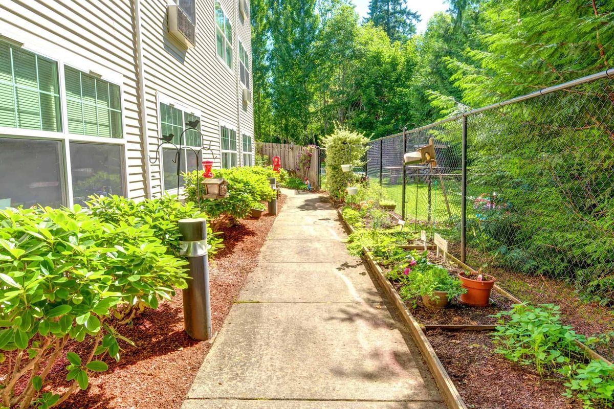 A sunny walkway lined with plants and landscaping, adjacent to a residential building and fenced garden area.
