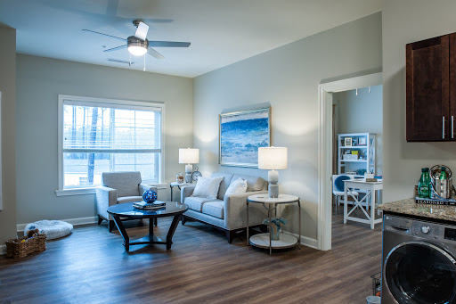 A modern living room featuring comfortable seating, natural light, and stylish decor.