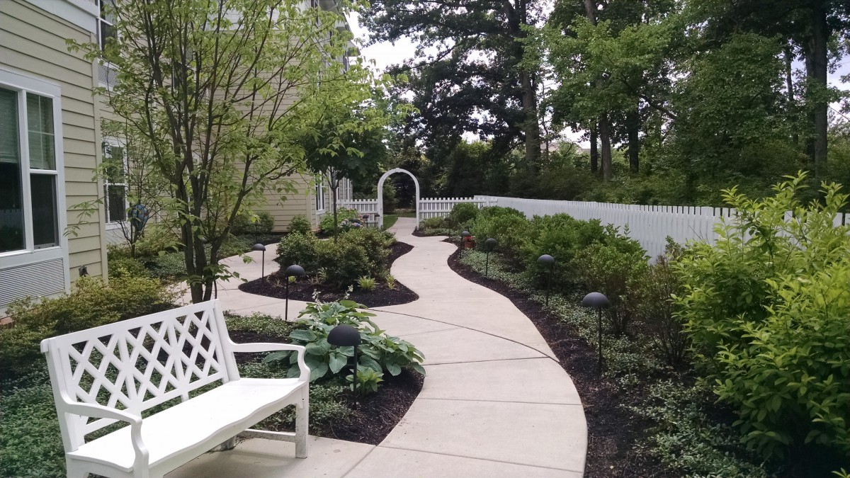 A serene garden pathway with a white bench and archway, surrounded by lush greenery.
