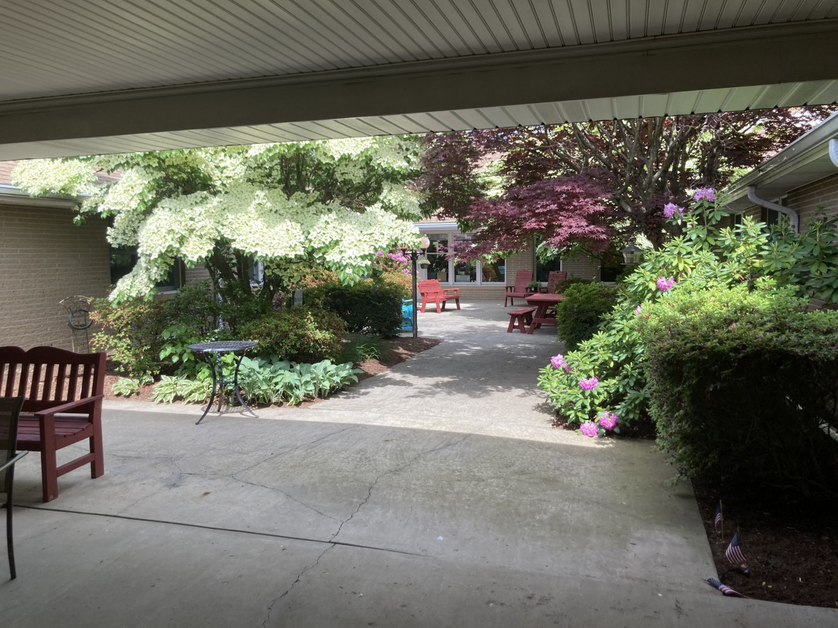 A serene garden with lush greenery and a pathway leading to a cozy seating area.