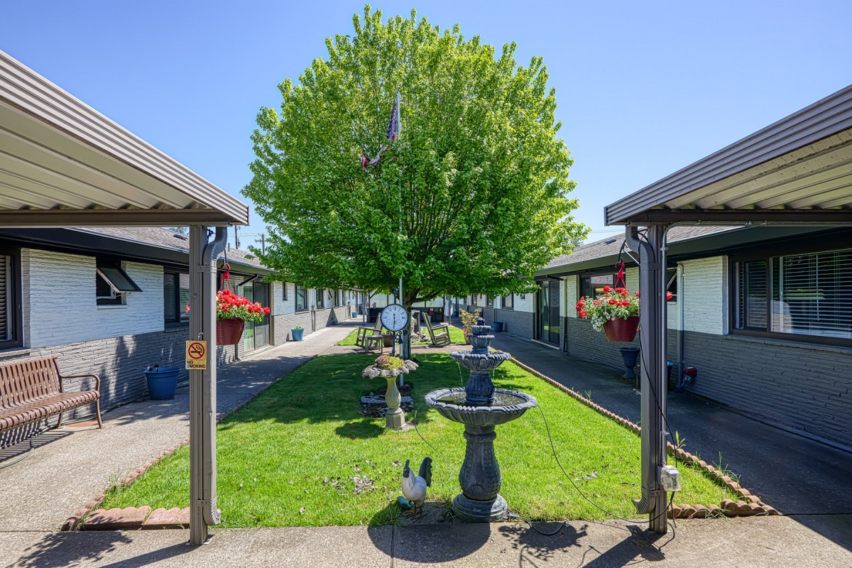 A peaceful courtyard featuring a central tree and fountain surrounded by buildings.