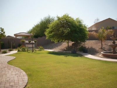 A landscaped backyard featuring a lush lawn, trees, and a curved pathway.