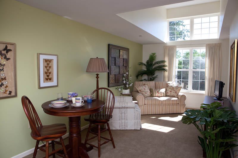 A cozy living room bathed in sunlight, featuring a comfortable couch, a small dining table with chairs, and houseplants by the window.