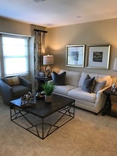 A cozy living room with a comfortable sofa, stylish coffee table, and elegant decor.