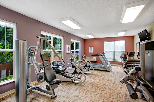 A modern gym equipped with various exercise machines and natural light.