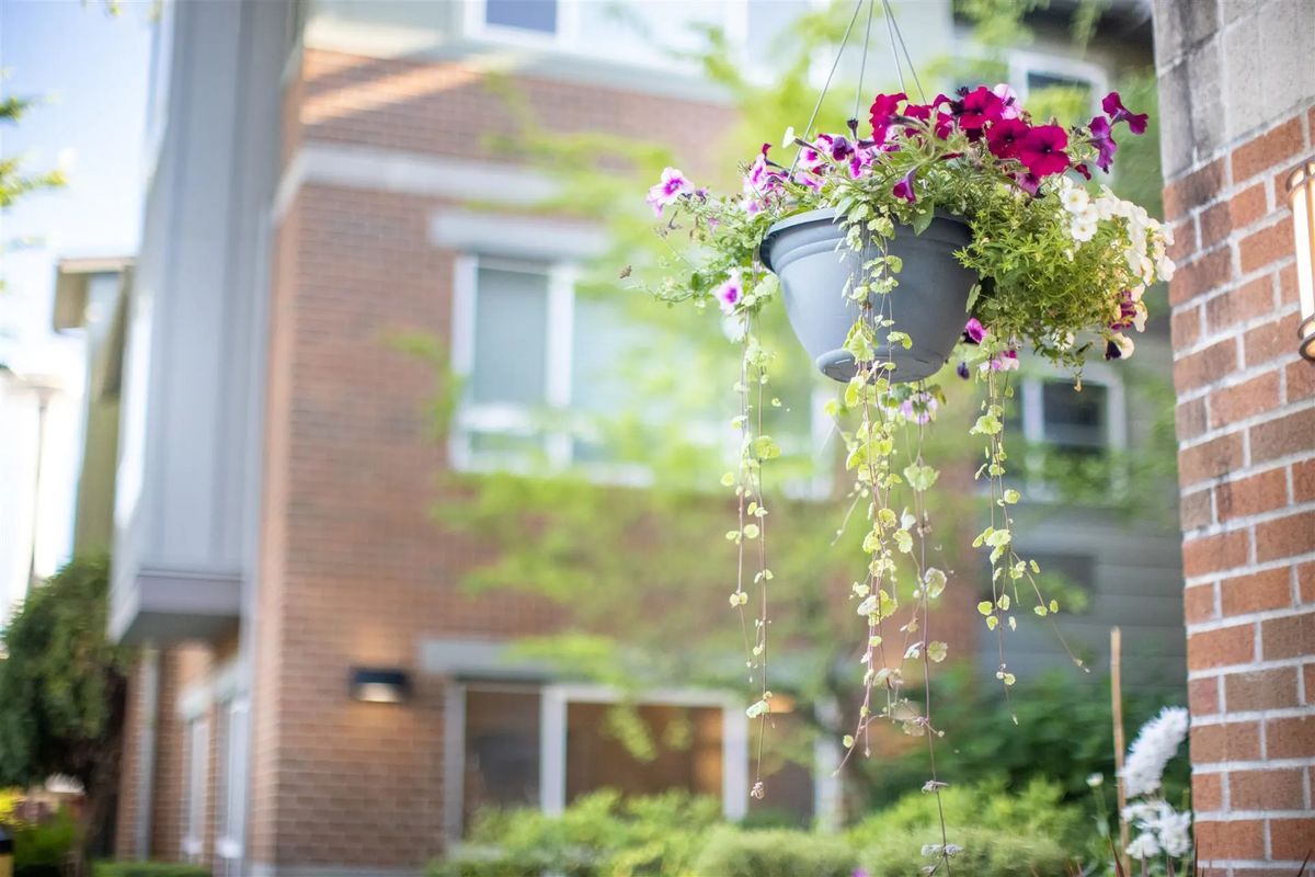 A hanging planter filled with vibrant flowers in front of a brick building on a sunny day.