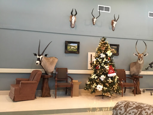 A cozy living room decorated for Christmas, featuring a beautifully adorned tree and unique antler decor.