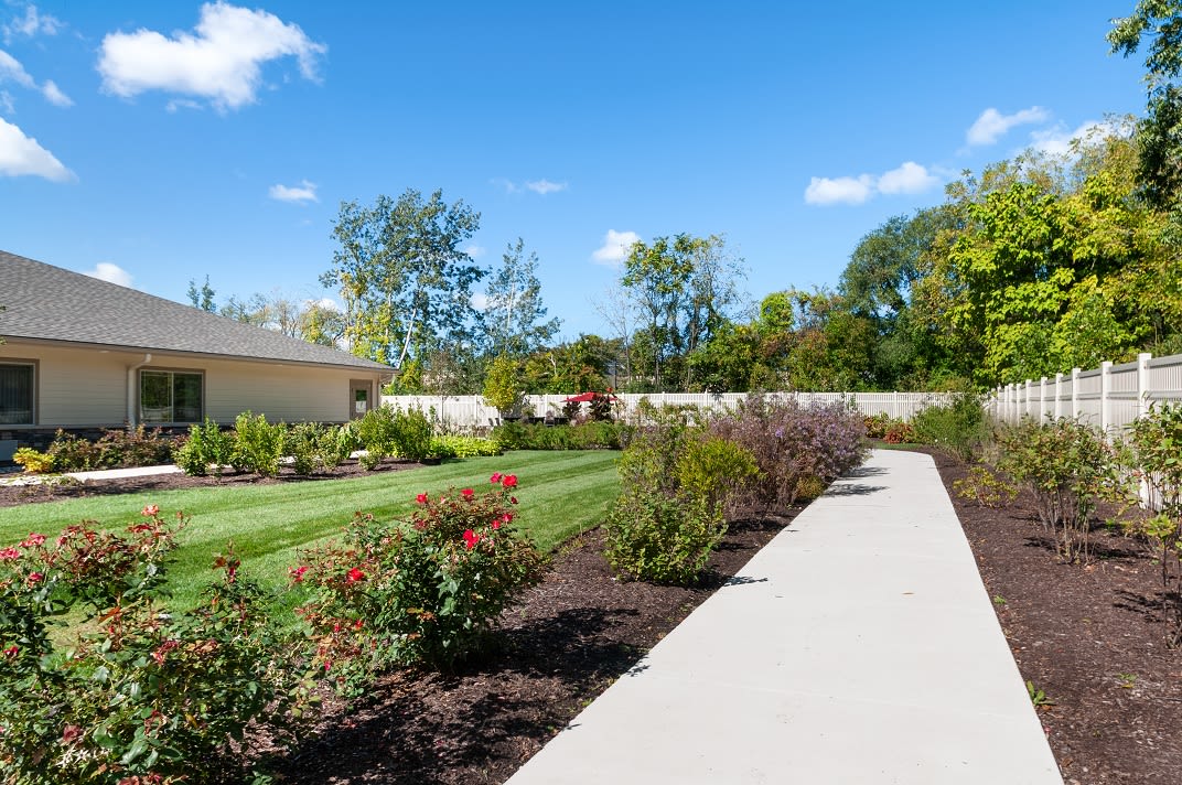 A scenic garden with a paved pathway, vibrant flowers, and lush greenery on a sunny day.