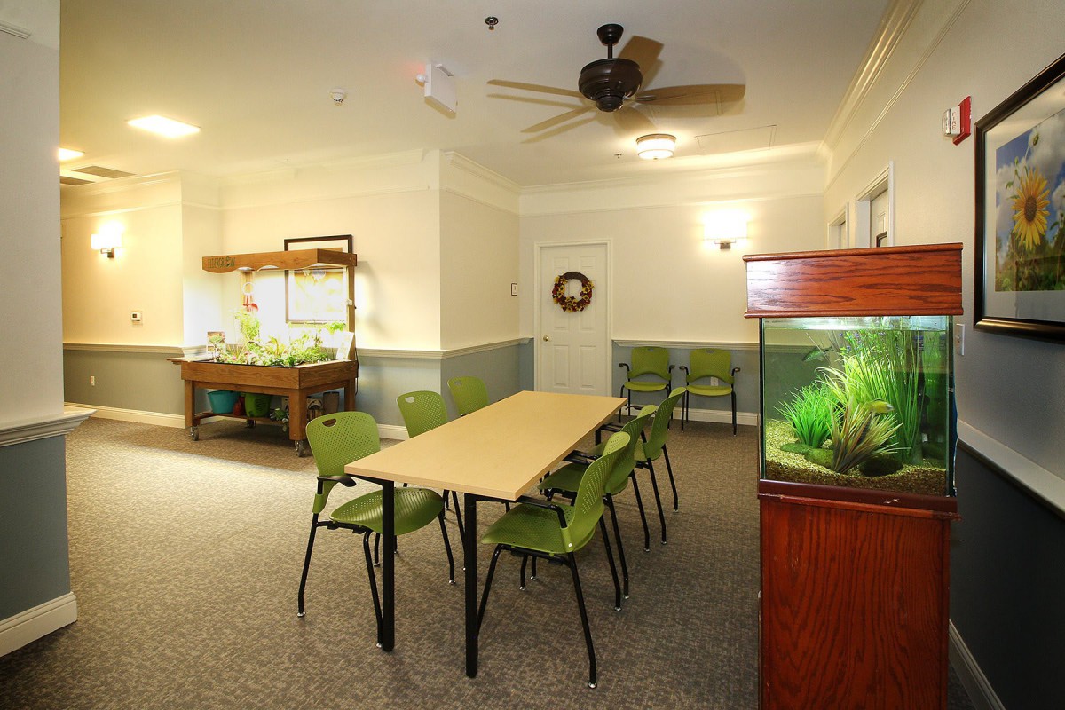 A well-lit meeting room featuring a long table with green chairs, an aquarium, and a ceiling fan.