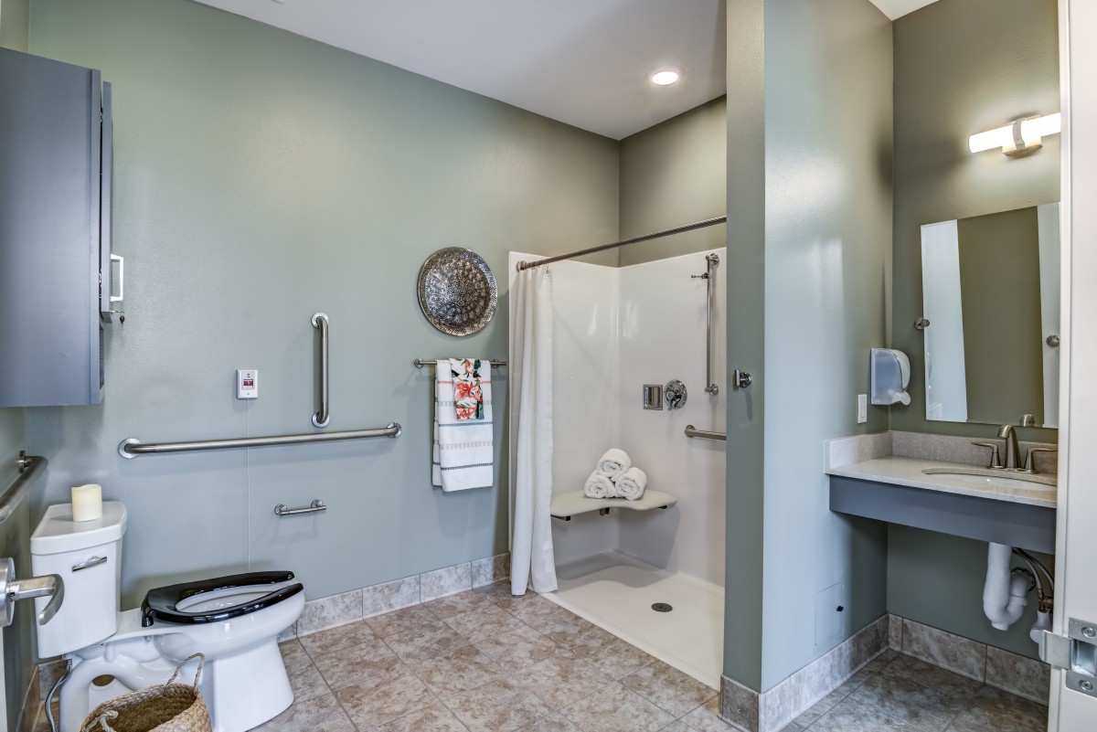 A modern, accessible bathroom featuring a walk-in shower, grab bars, and a wall-mounted sink.