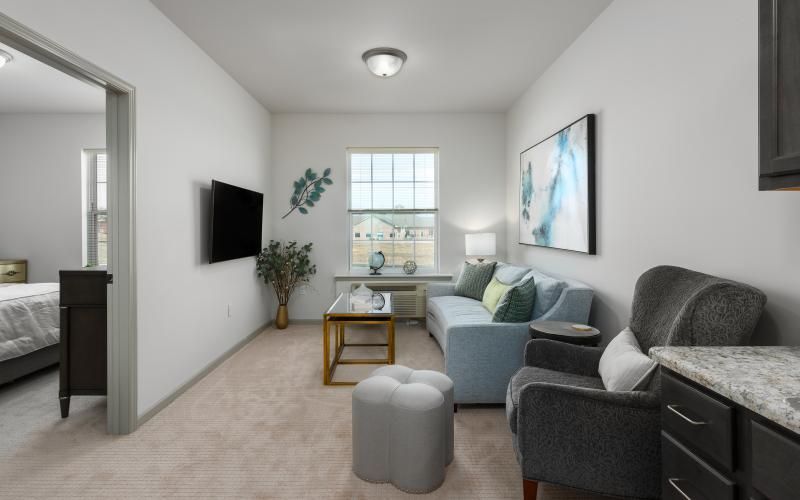 A cozy, modern living room with a sofa, television, and decorative accents.