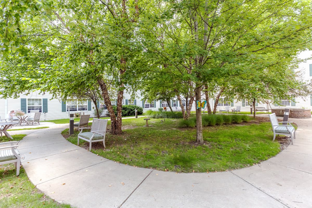 A serene park area with lush trees, a winding pathway, and a bench for relaxation.