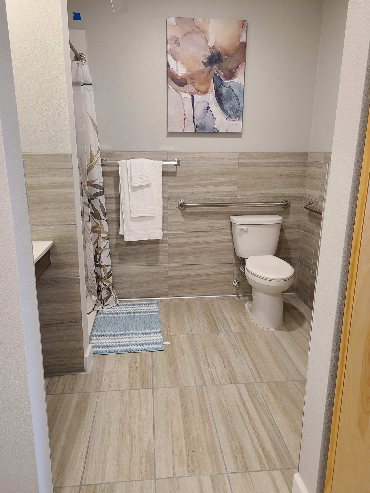 A modern bathroom with a toilet, shower, and decorative elements.