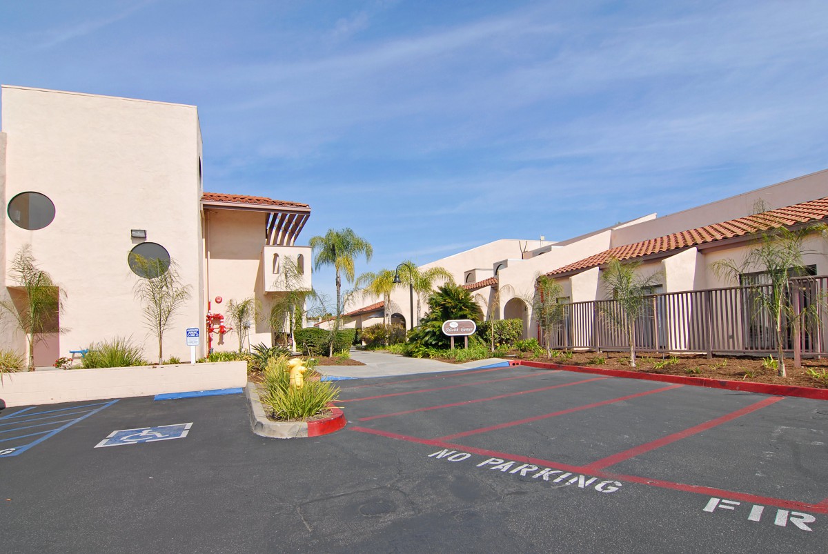 A sunny day at a commercial complex with a 'No Parking' zone and palm trees.