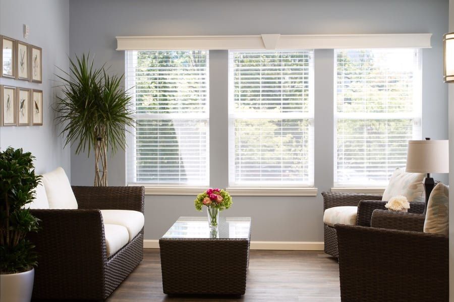 A bright and modern living room with minimalist decor, featuring a sofa set, coffee table, indoor plant, and large windows allowing plenty of natural light.