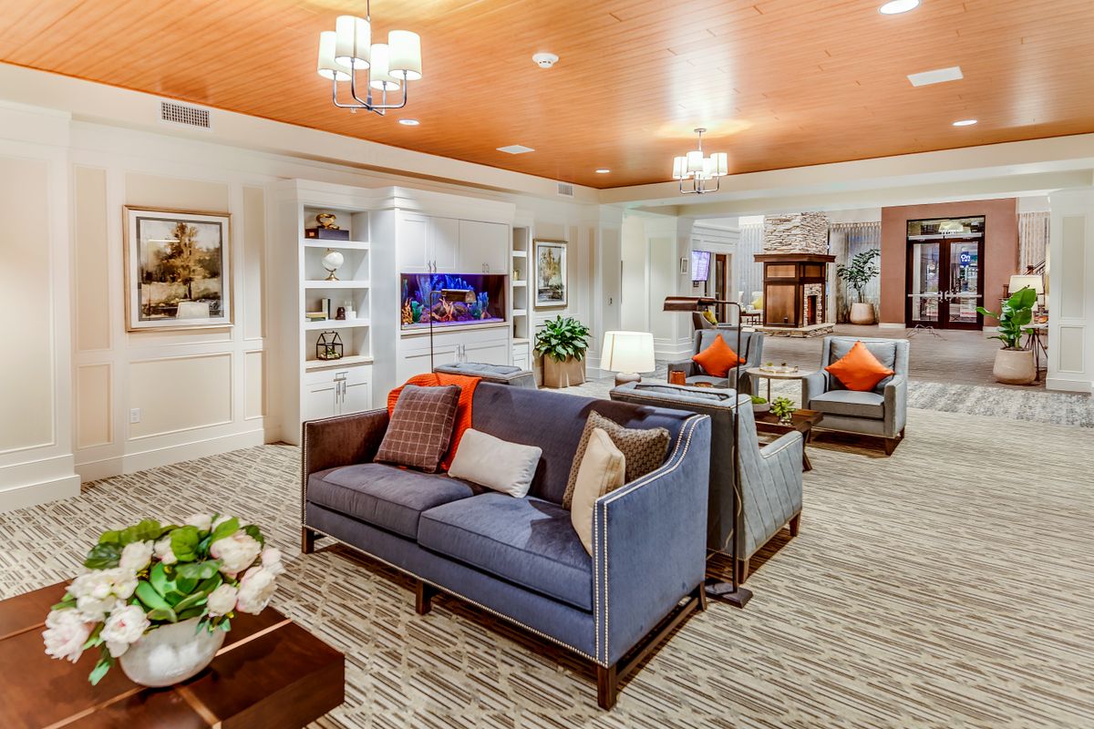A modern, cozy living room with stylish sofas and a well-organized bookshelf.