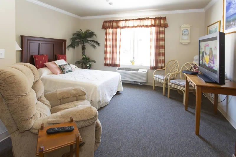 A comfortable hotel room with a large bed, seating area, and natural light from the window.