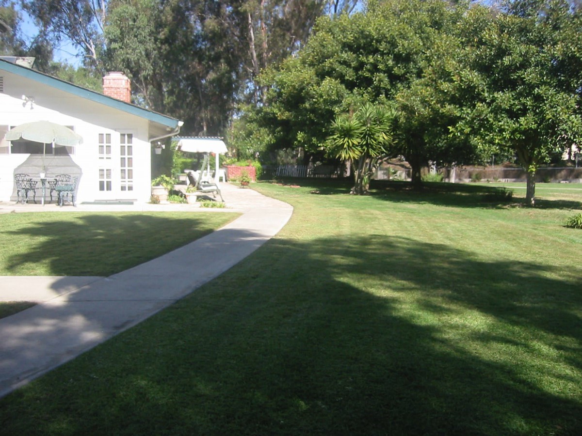 A sunny backyard with a well-manicured lawn and a winding pathway leading from the house, surrounded by lush trees.