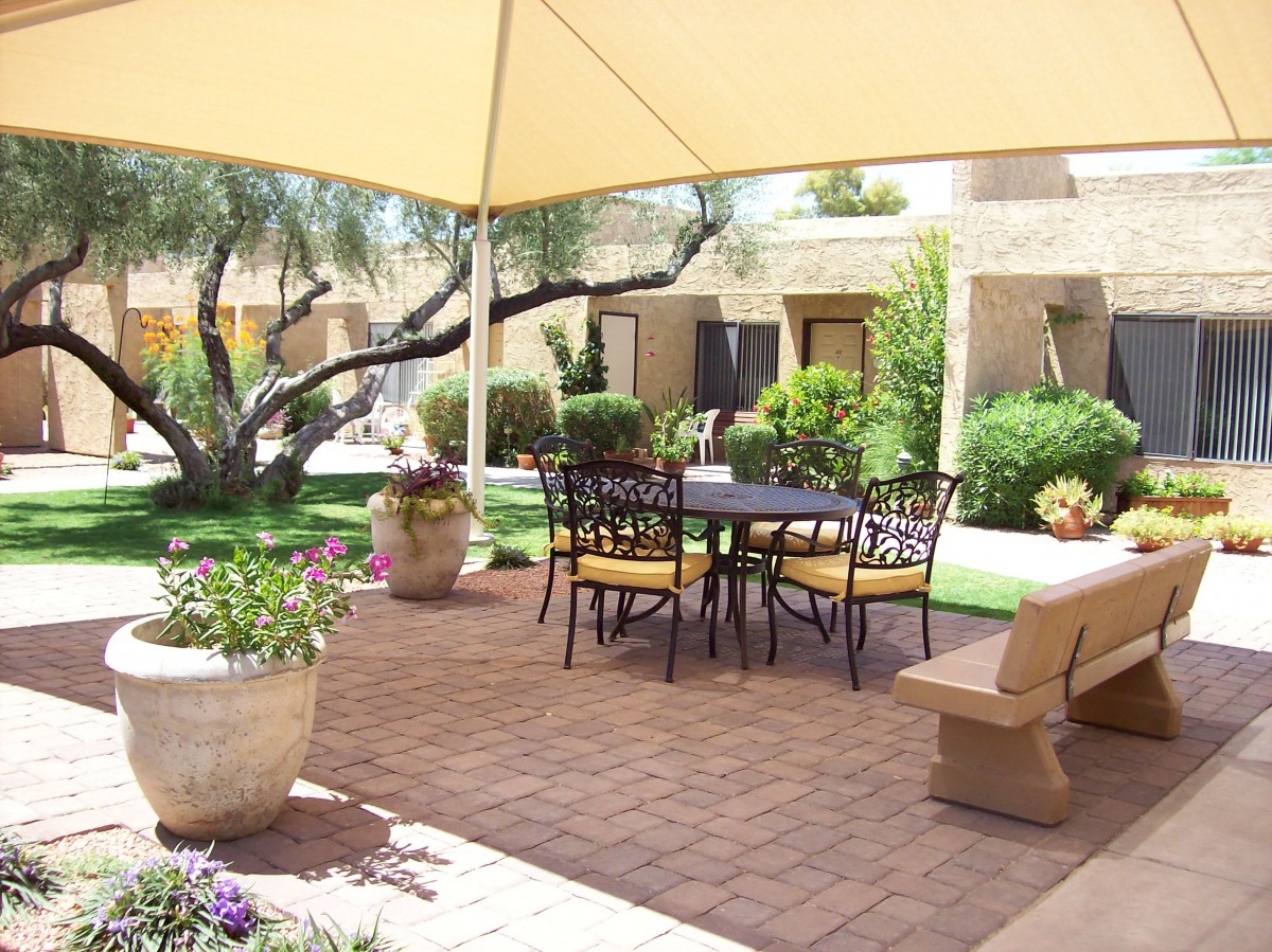 A cozy patio area with a shaded umbrella, surrounded by greenery and potted plants.