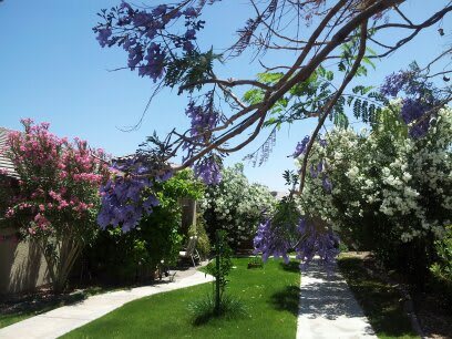 A scenic garden pathway surrounded by vibrant flowers and lush trees under a clear blue sky.