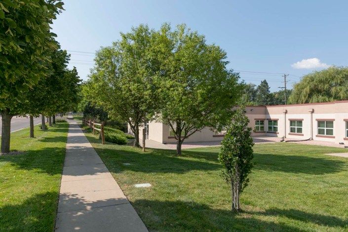 A sunny day in a residential area with a sidewalk, trees, and a building.