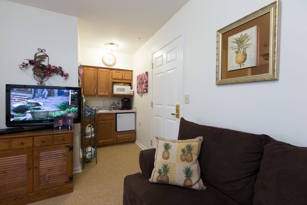 A cozy living area with a kitchenette, featuring a sofa with pineapple-themed pillows and a TV.