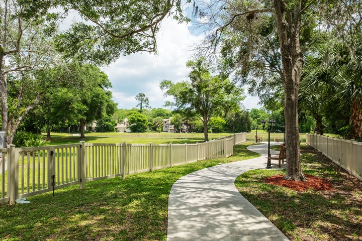 A scenic park pathway surrounded by lush greenery and trees.