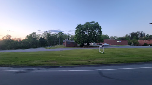 A serene evening view featuring a large tree and a building set against a clear sky.