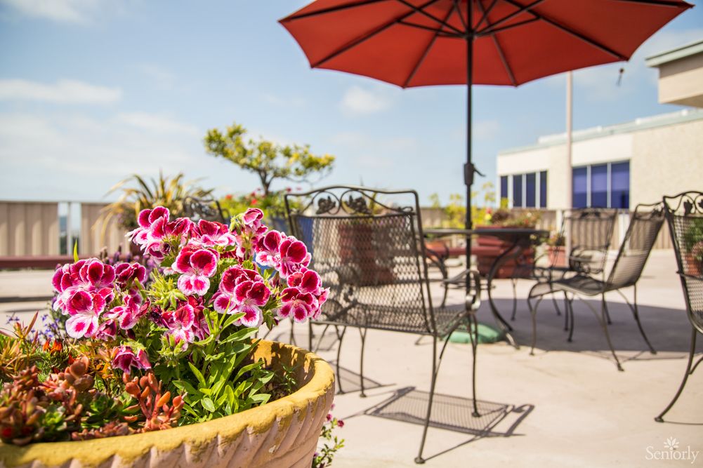 A sunny patio with colorful flowers and shaded seating.