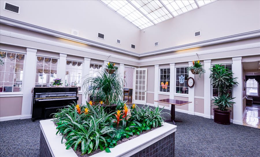 A bright interior space featuring a skylight, lush plants, and a piano.
