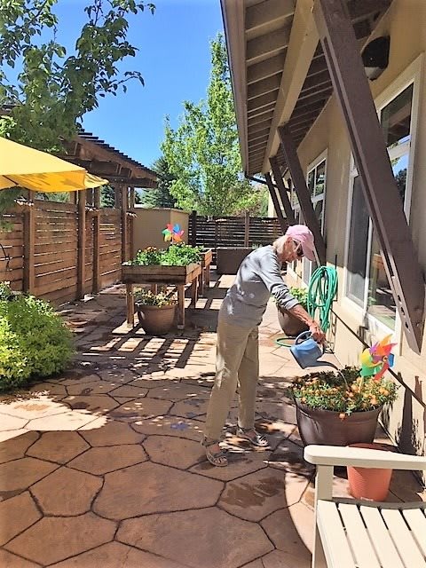 A person waters potted plants on a sunny patio.