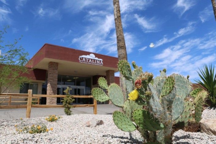 A cactus in front of a desert building under a bright blue sky.