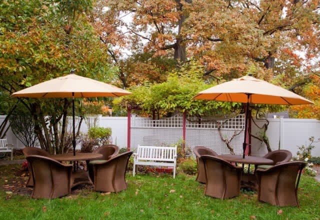 A cozy garden setup with outdoor furniture and umbrellas amidst autumn foliage.